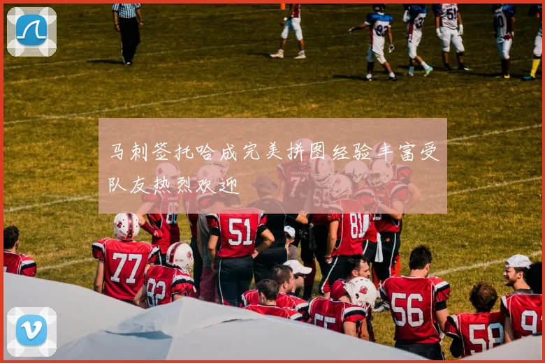 马刺签托哈成完美拼图经验丰富受队友热烈欢迎